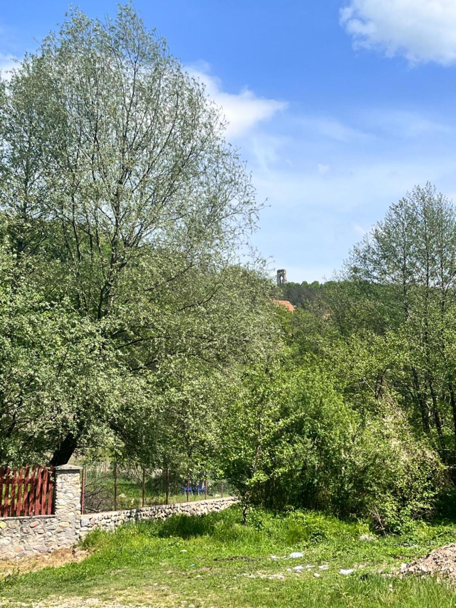 La Gradina Hotell Mehadija Eksteriør bilde